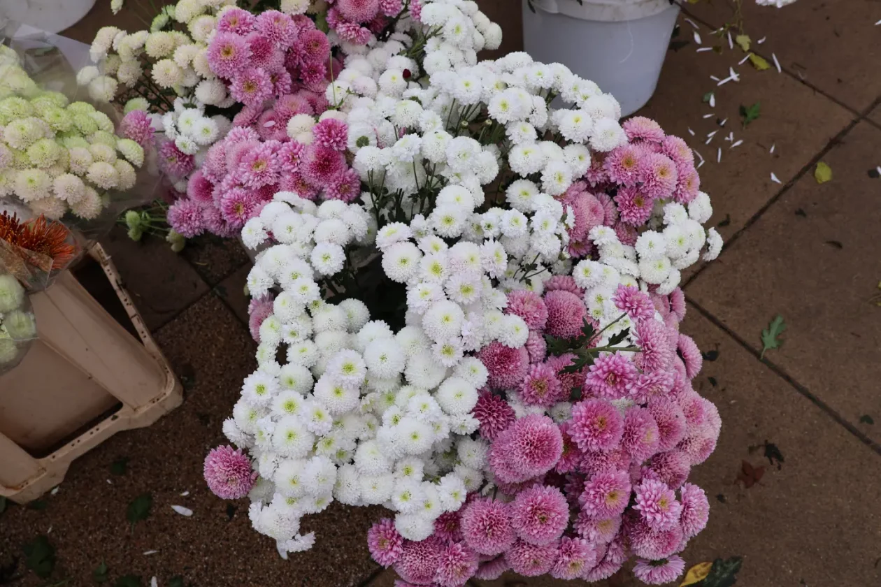 Čakovec, tržnica, 31.10.2025., Svi sveti, aranžmani (4)