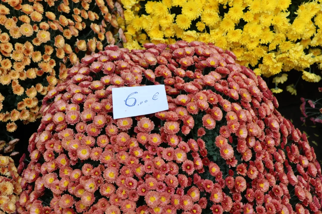 Čakovec, tržnica, 31.10.2025., Svi sveti, aranžmani (46)