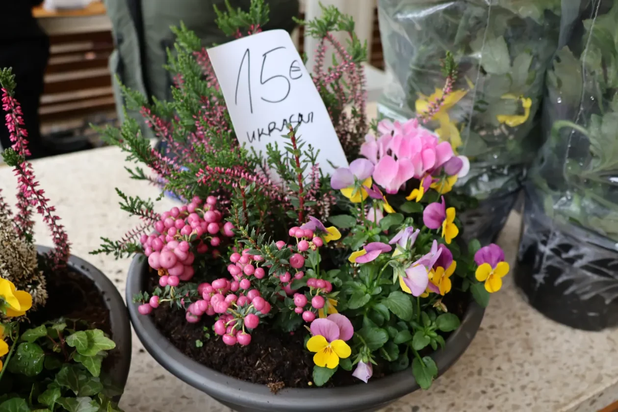 Čakovec, tržnica, 31.10.2025., Svi sveti, aranžmani (65)