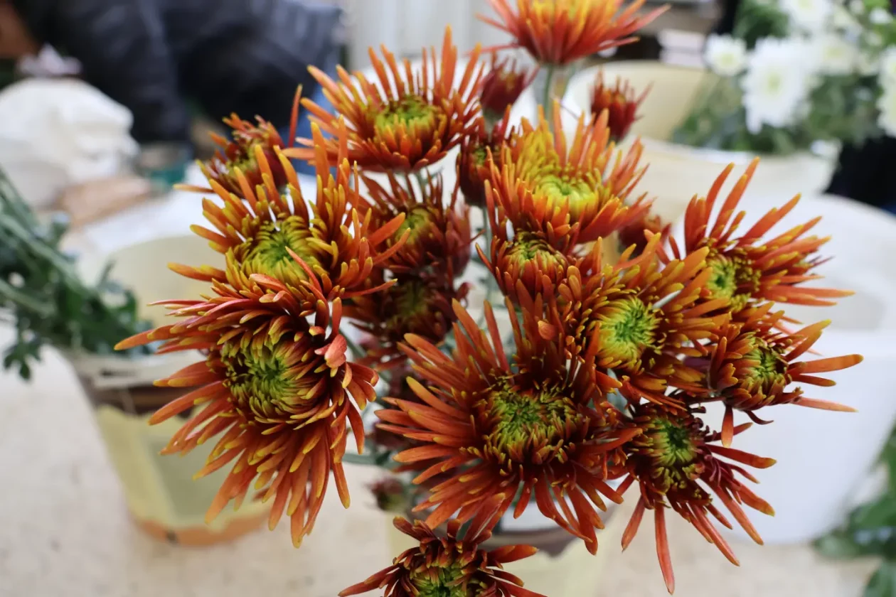 Čakovec, tržnica, 31.10.2025., Svi sveti, aranžmani (79)