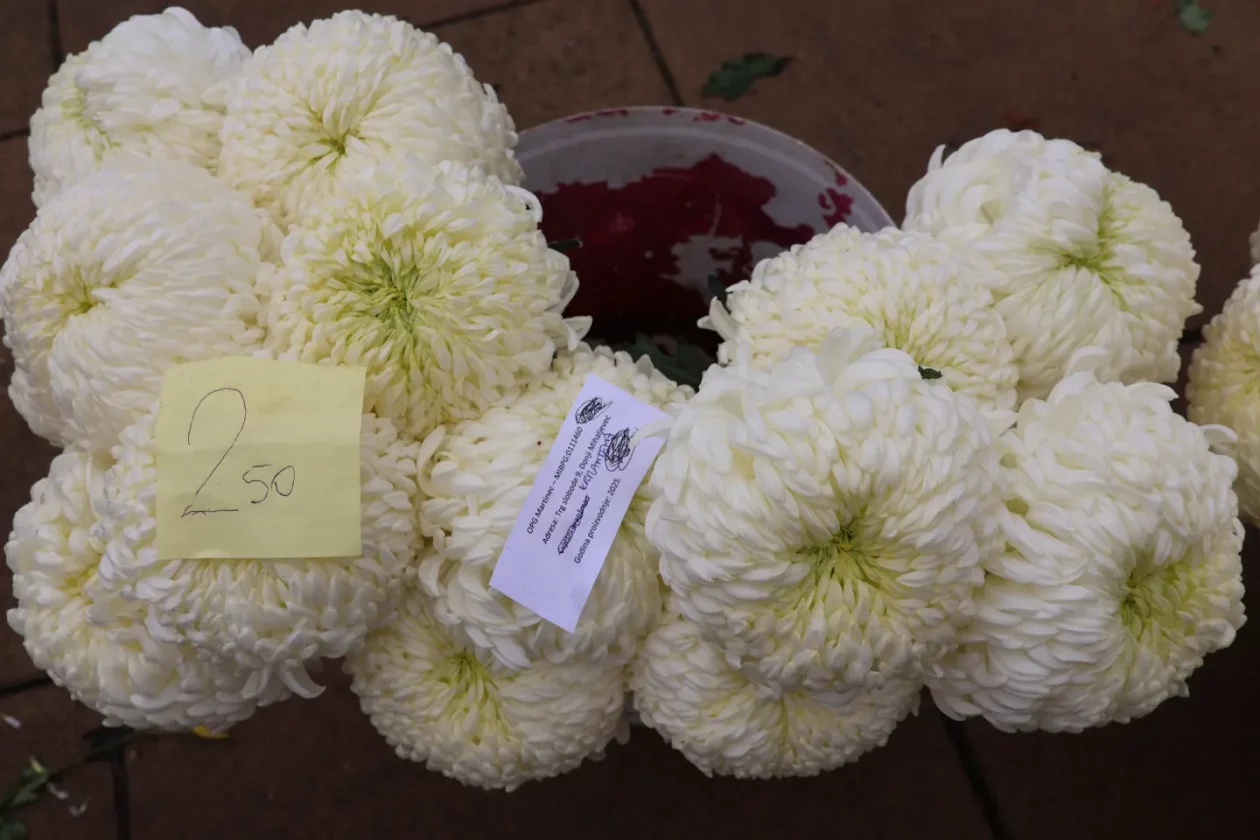 Čakovec, tržnica, 31.10.2025., Svi sveti, aranžmani (8)