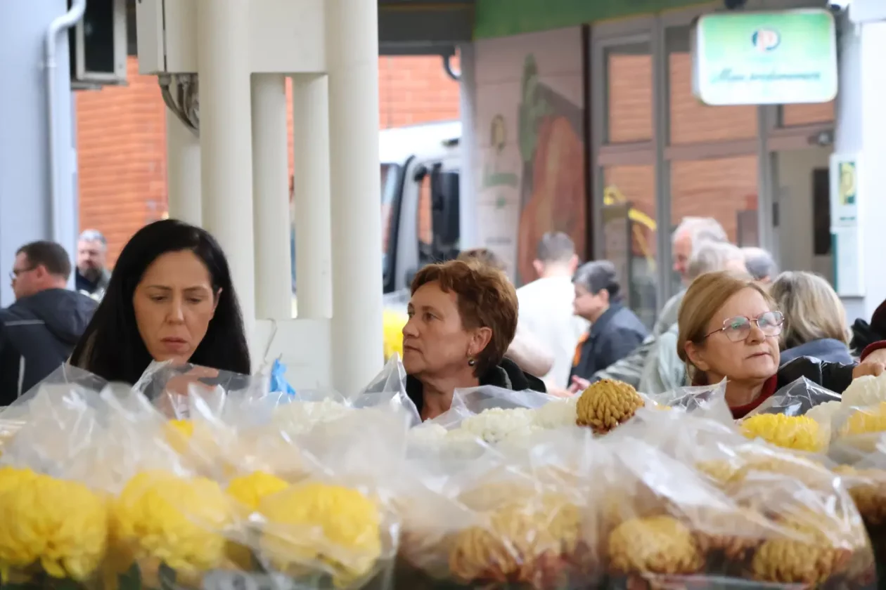 Čakovec, tržnica, 31.10.2025., Svi sveti, aranžmani (84)