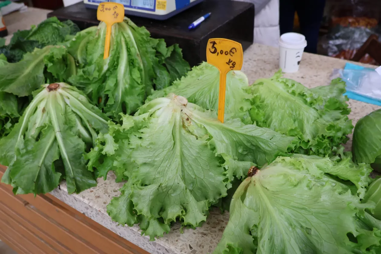 Čakovec, tržnica, 31.10.2025., Svi sveti, aranžmani (88)
