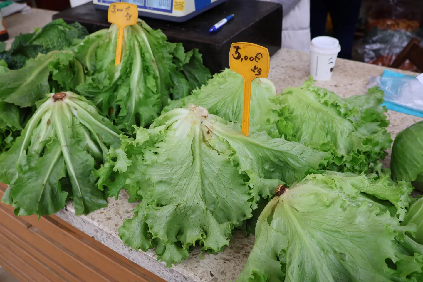 Čakovec, tržnica, 31.10.2025., Svi sveti, aranžmani (88)