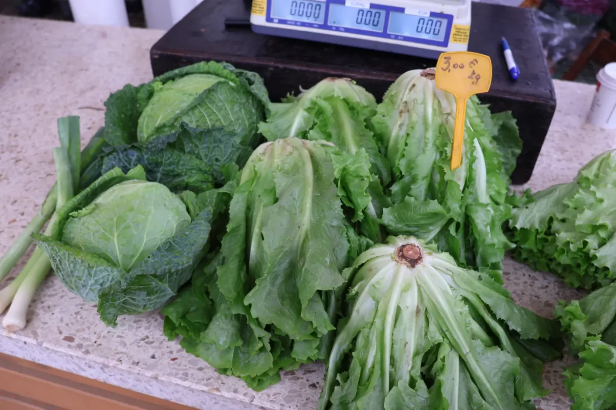 Čakovec, tržnica, 31.10.2025., Svi sveti, aranžmani (90)