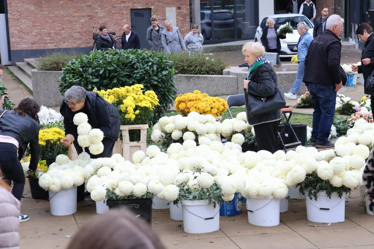 Čakovec, tržnica, 31.10.2025., Svi sveti, aranžmani (99)