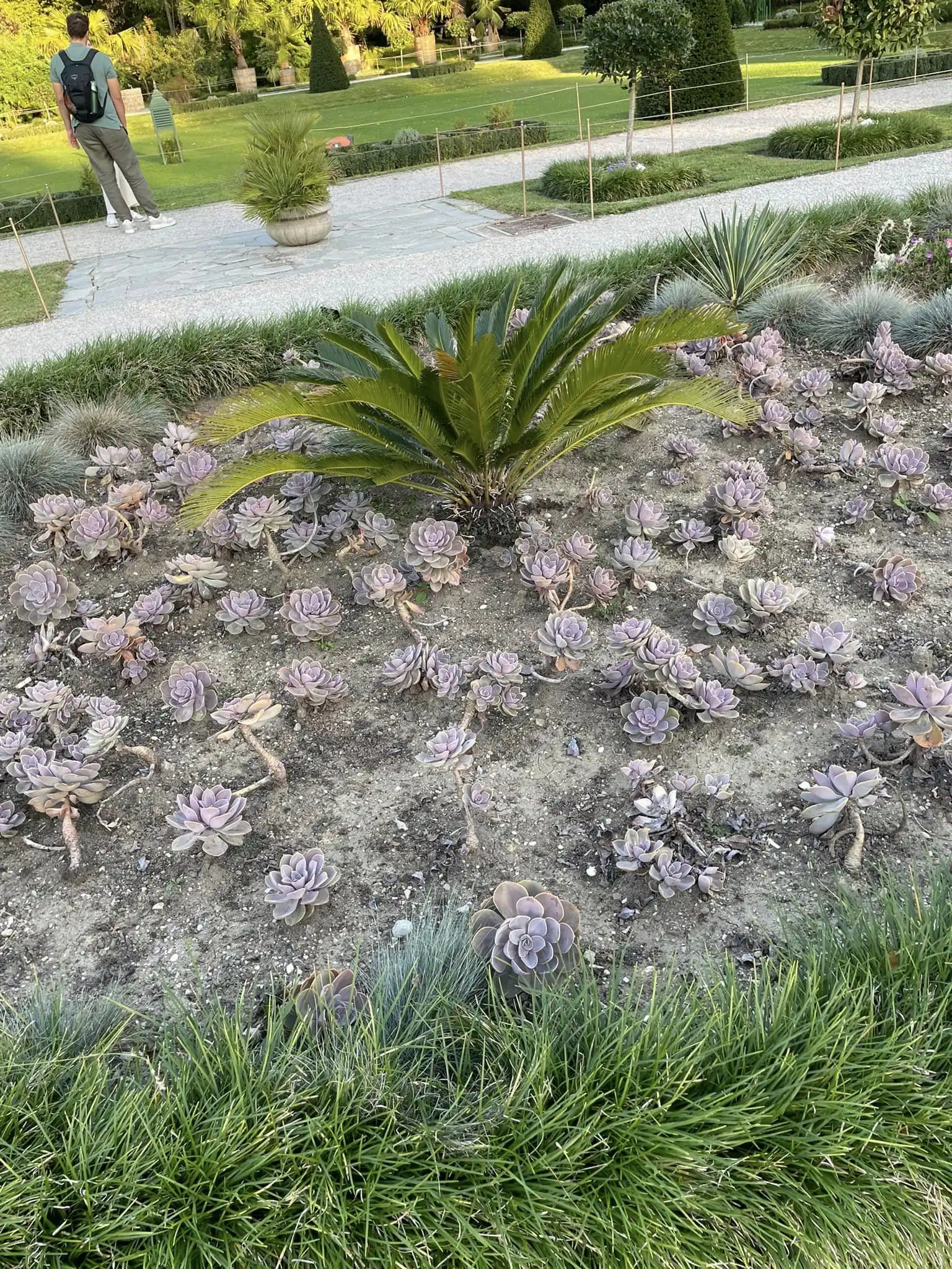 Čakovec- umirovljenici (11)