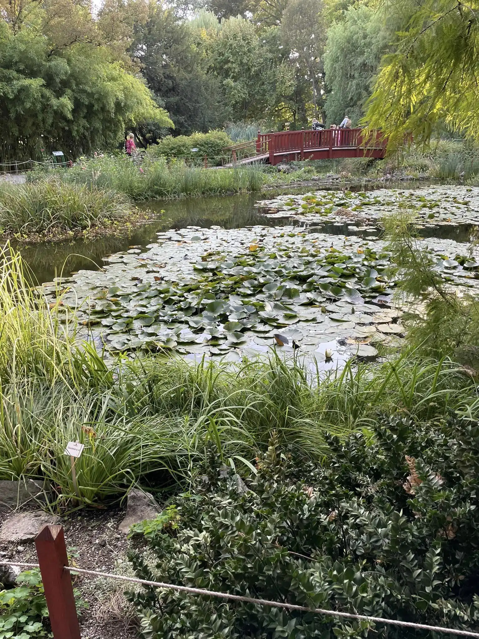 Čakovec- umirovljenici (13)