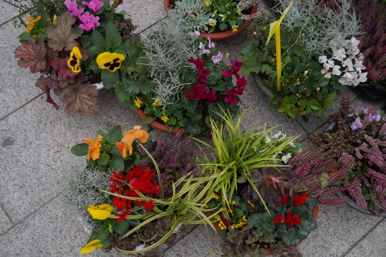 Čakovec weekend – jesen (2)