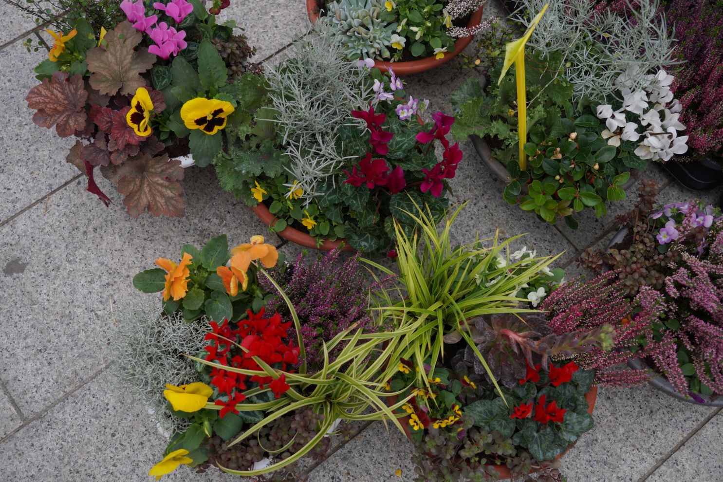 Čakovec weekend – jesen (2)