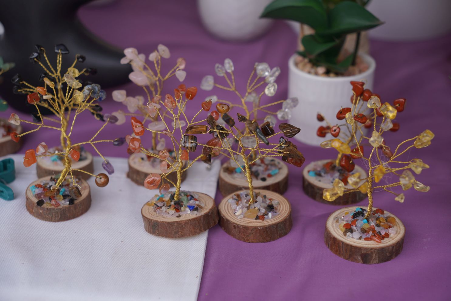 Čakovec weekend – jesen (25)