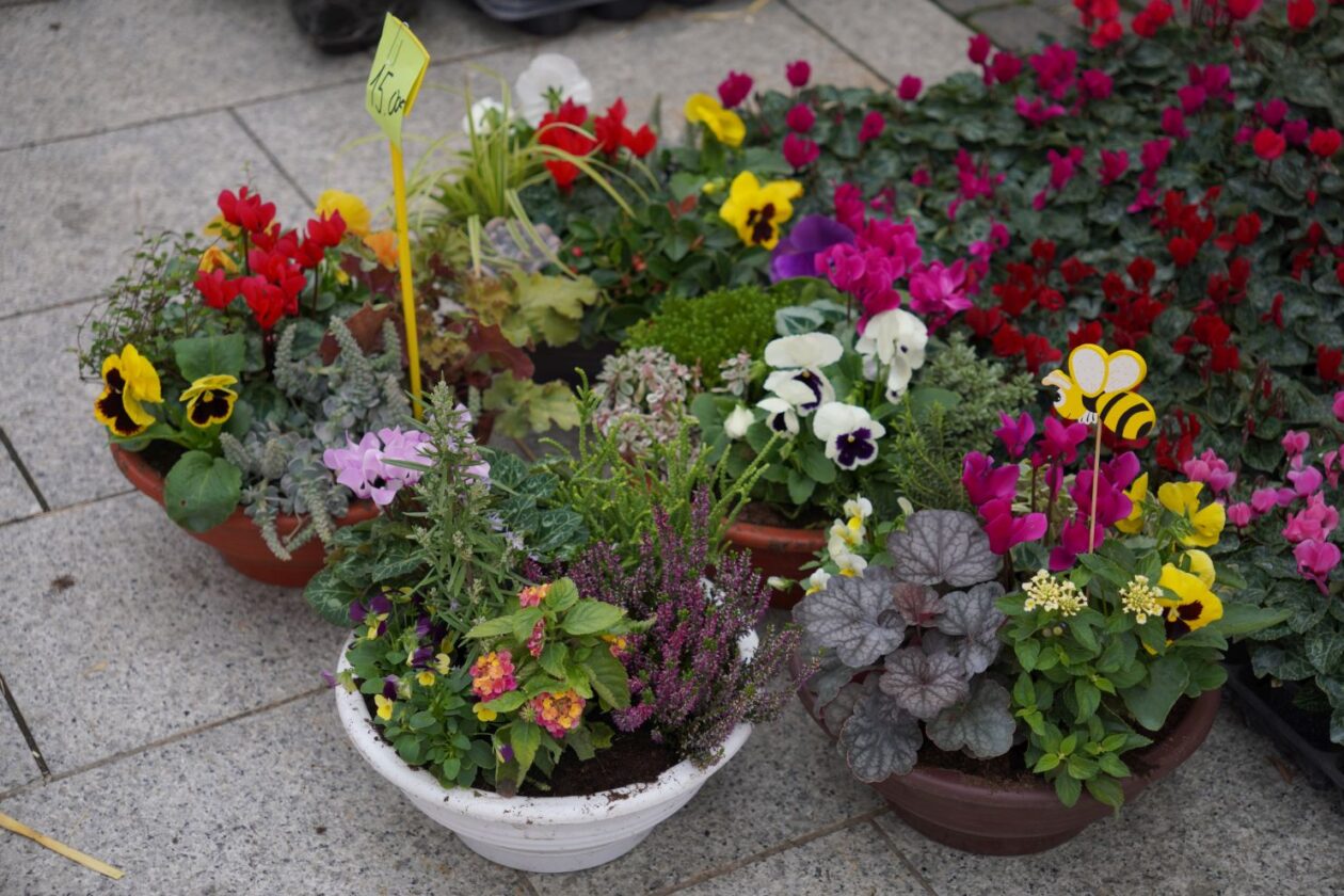 Čakovec weekend – jesen (3)