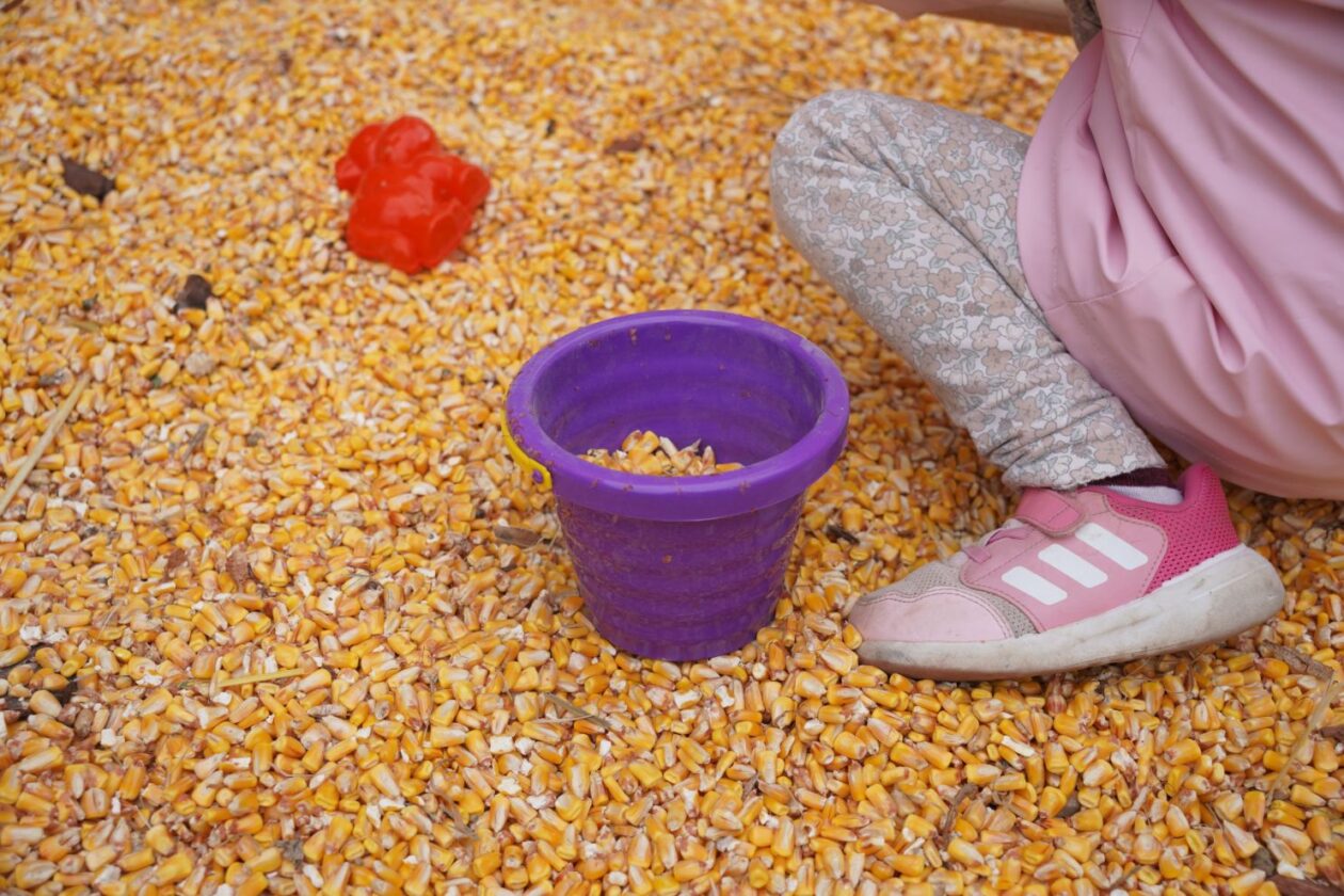 Čakovec weekend – jesen (5)