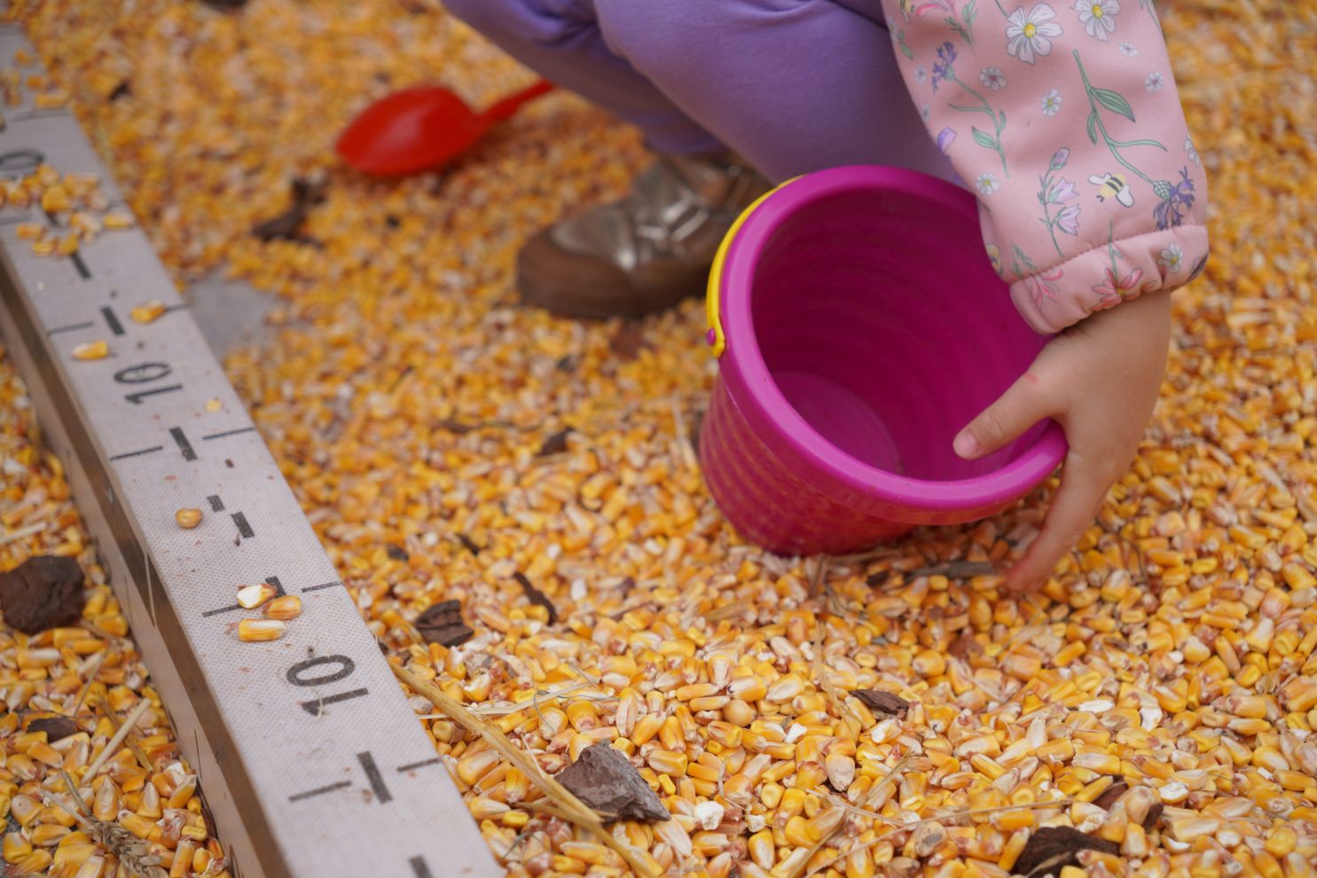 Čakovec weekend – jesen (6)