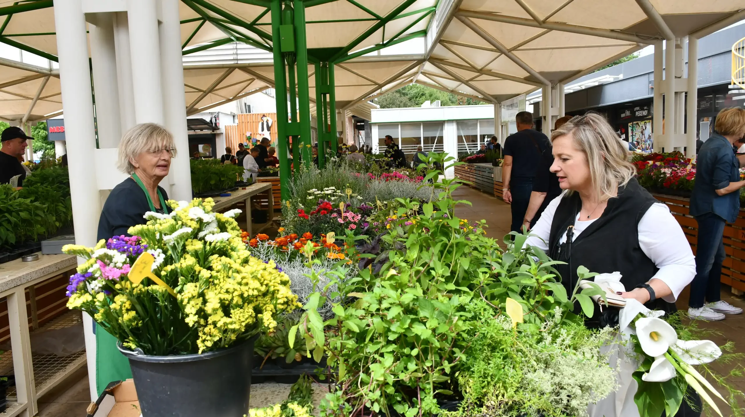 Čakovečka tržnica, 14.6 (14) Čakovečka tržnica, 14.6 (14)