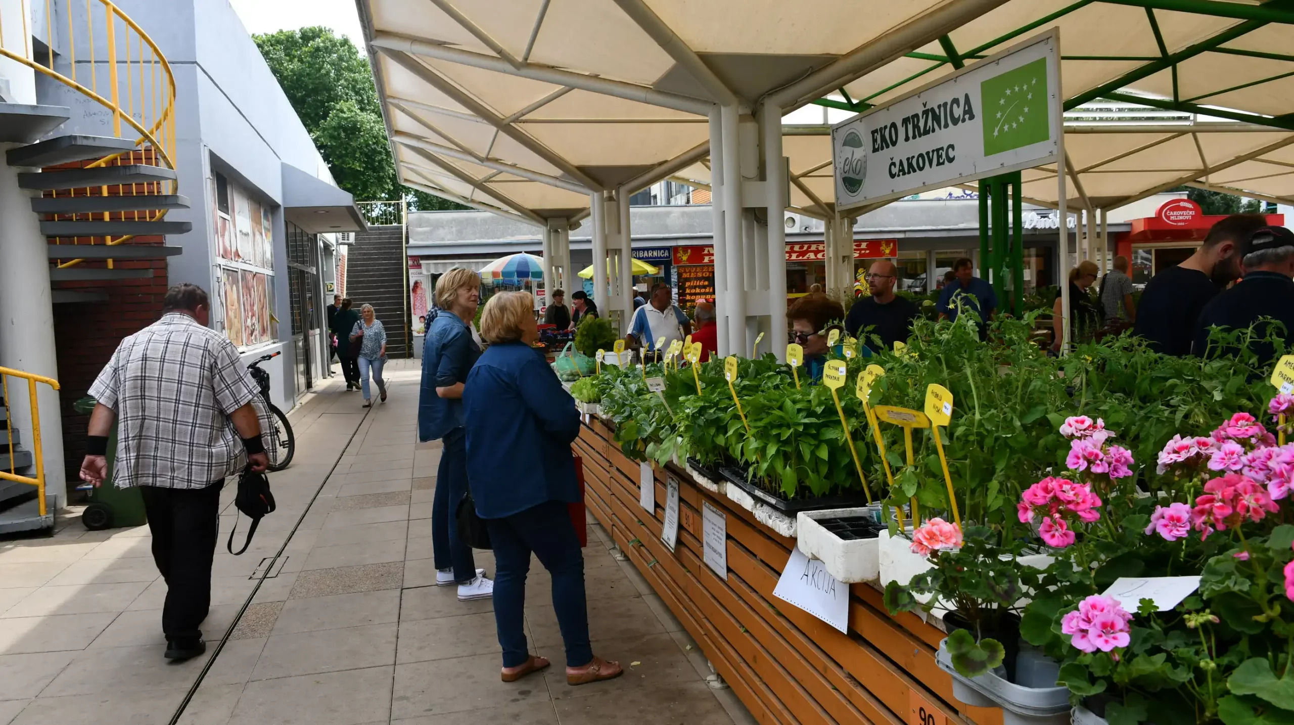 Čakovečka tržnica, 14.6 (21) Čakovečka tržnica, 14.6 (21)