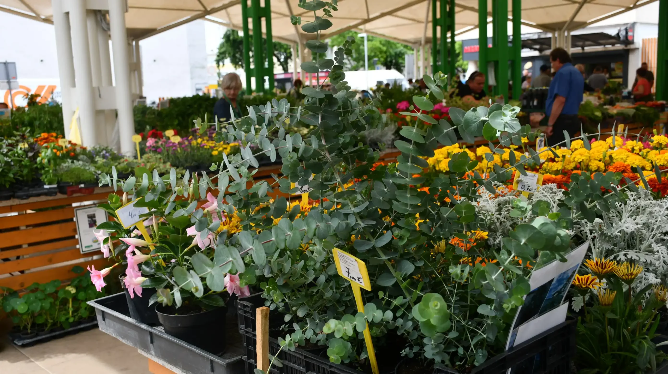 Čakovečka tržnica, 14.6 (23) Čakovečka tržnica, 14.6 (23)