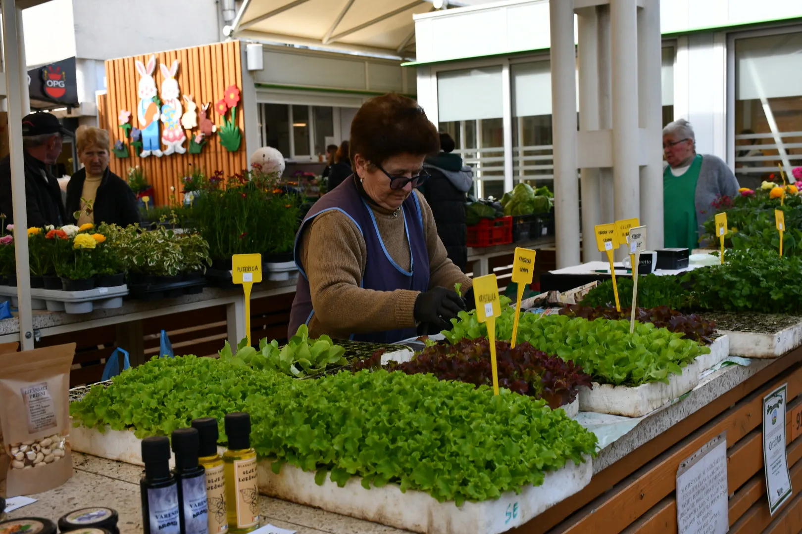 Čakovečka tržnica (14)