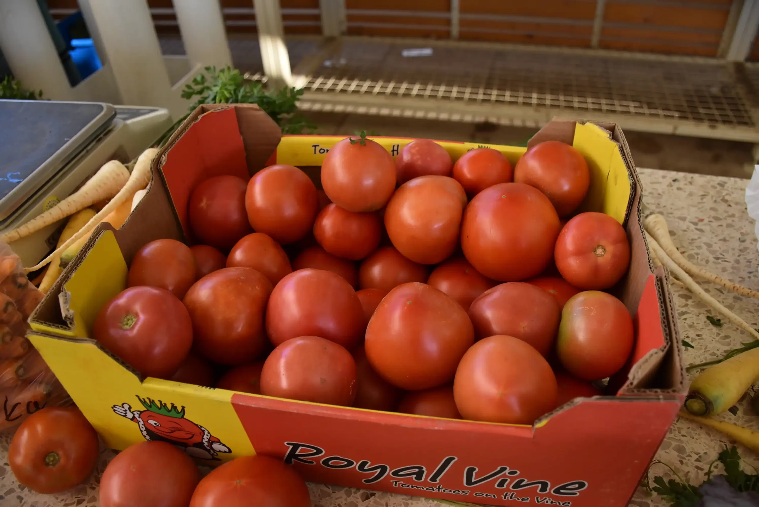 Čakovečka tržnica 20. rujna (12)