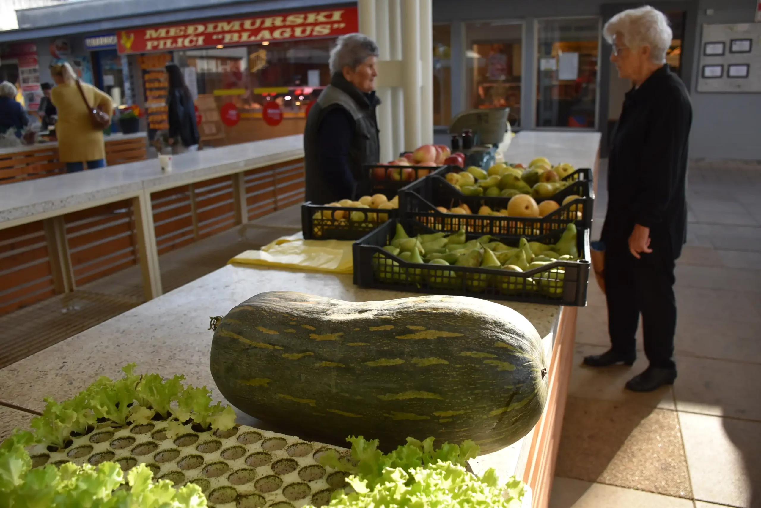 Čakovečka tržnica 20. rujna (19)