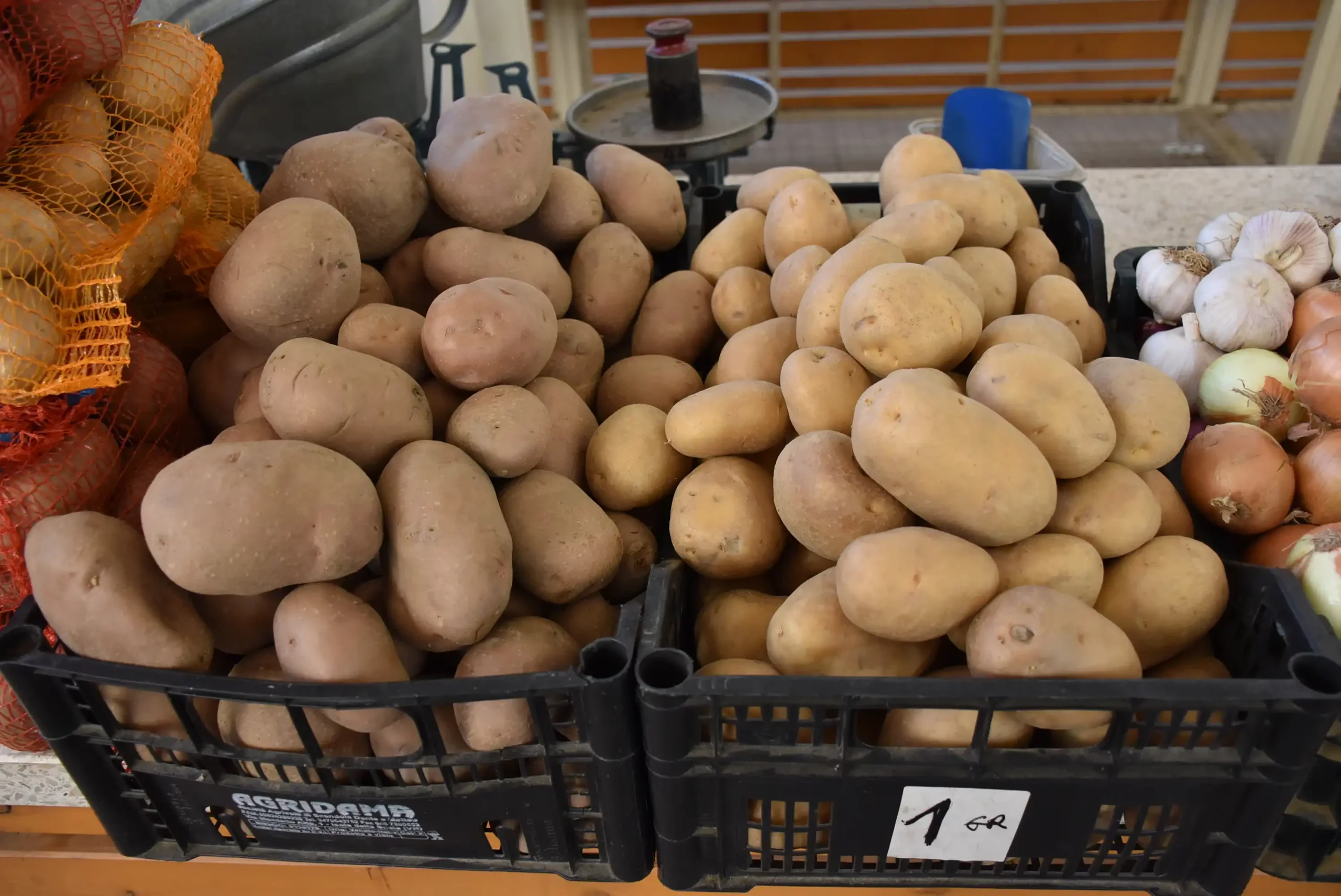 Čakovečka tržnica 20. rujna (28)