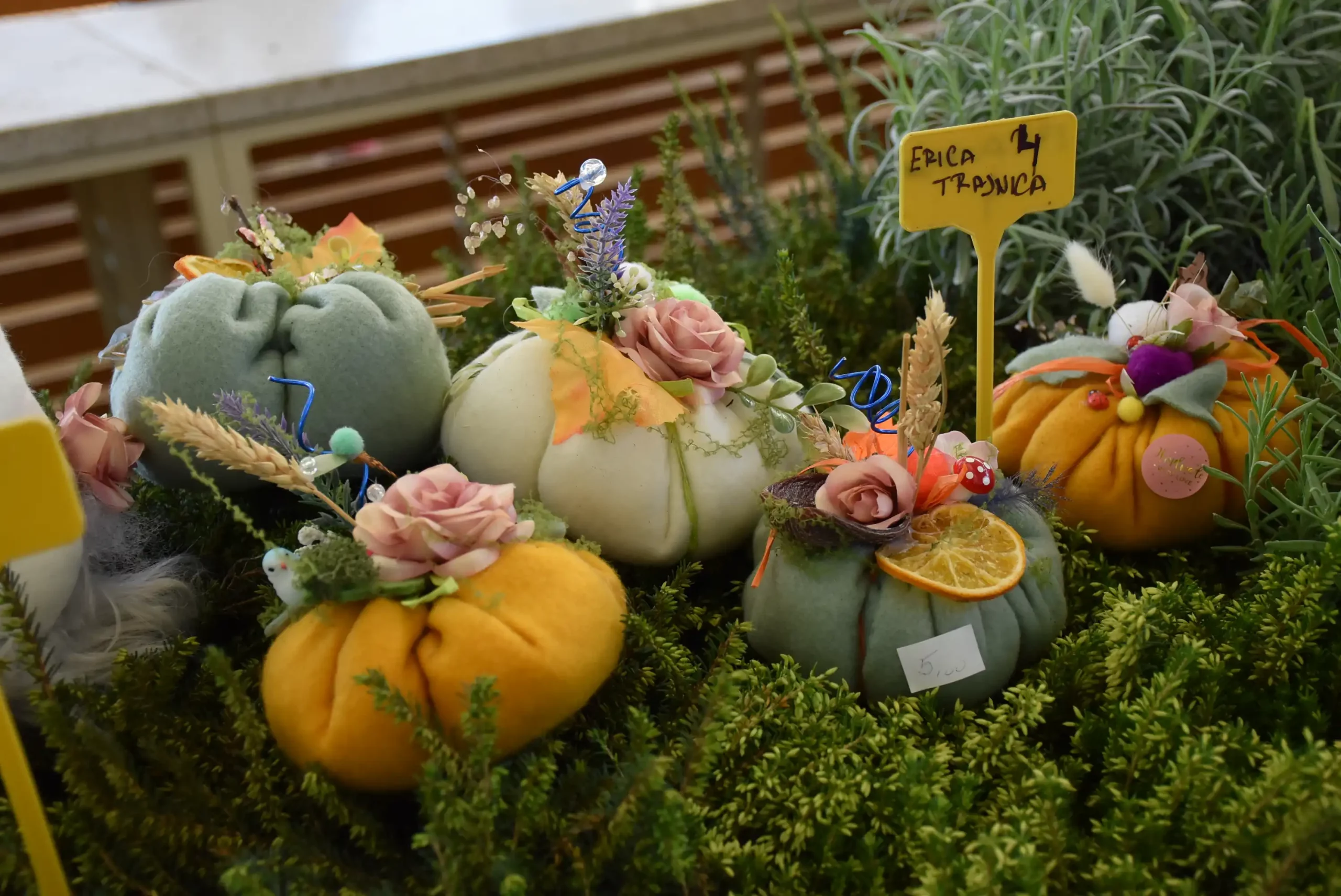 Čakovečka tržnica 20. rujna (30)