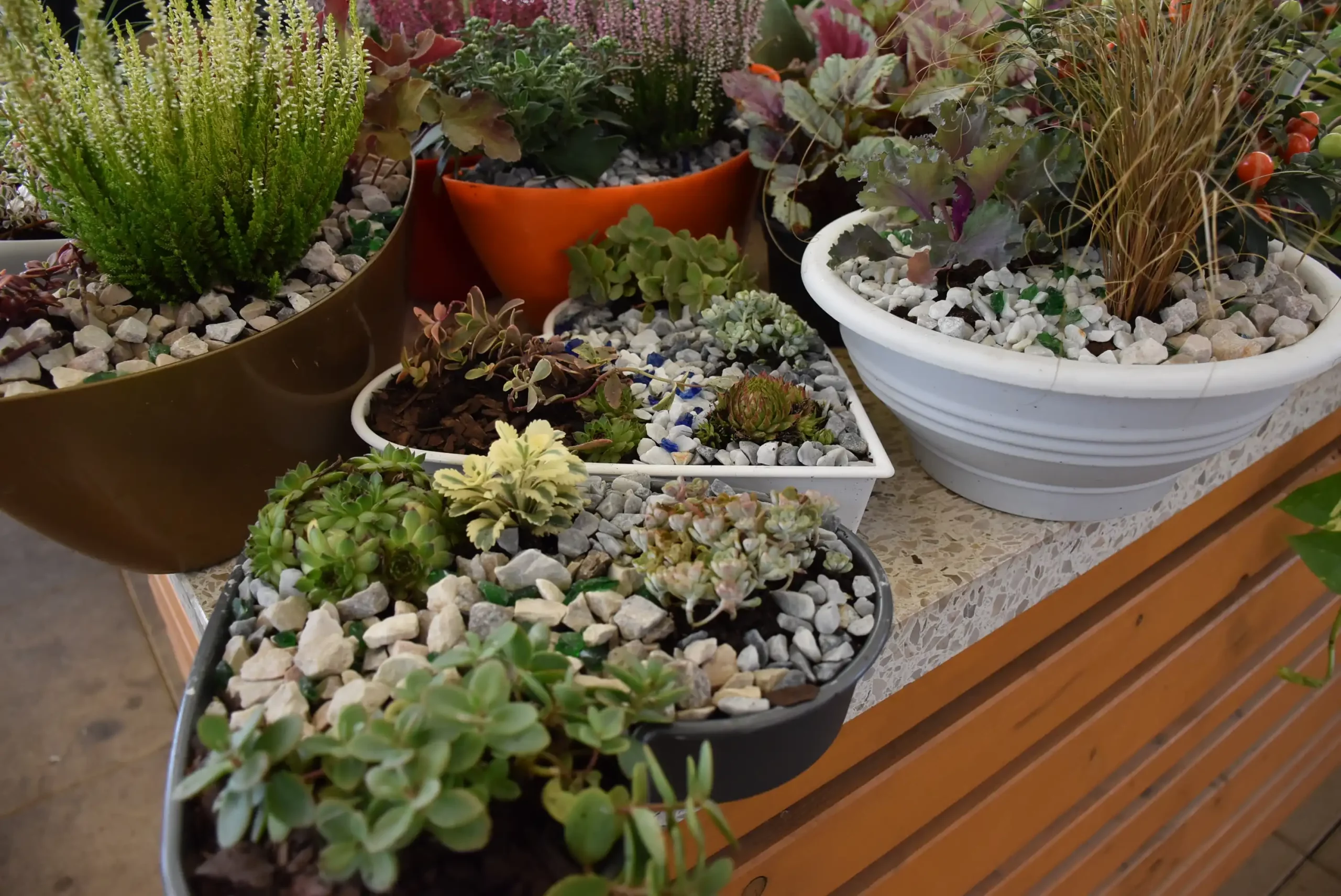 Čakovečka tržnica 20. rujna (34)