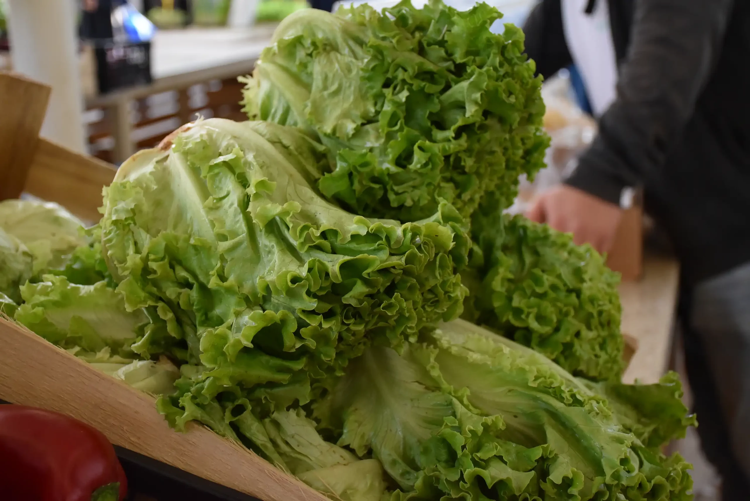 Čakovečka tržnica 20. rujna (37)