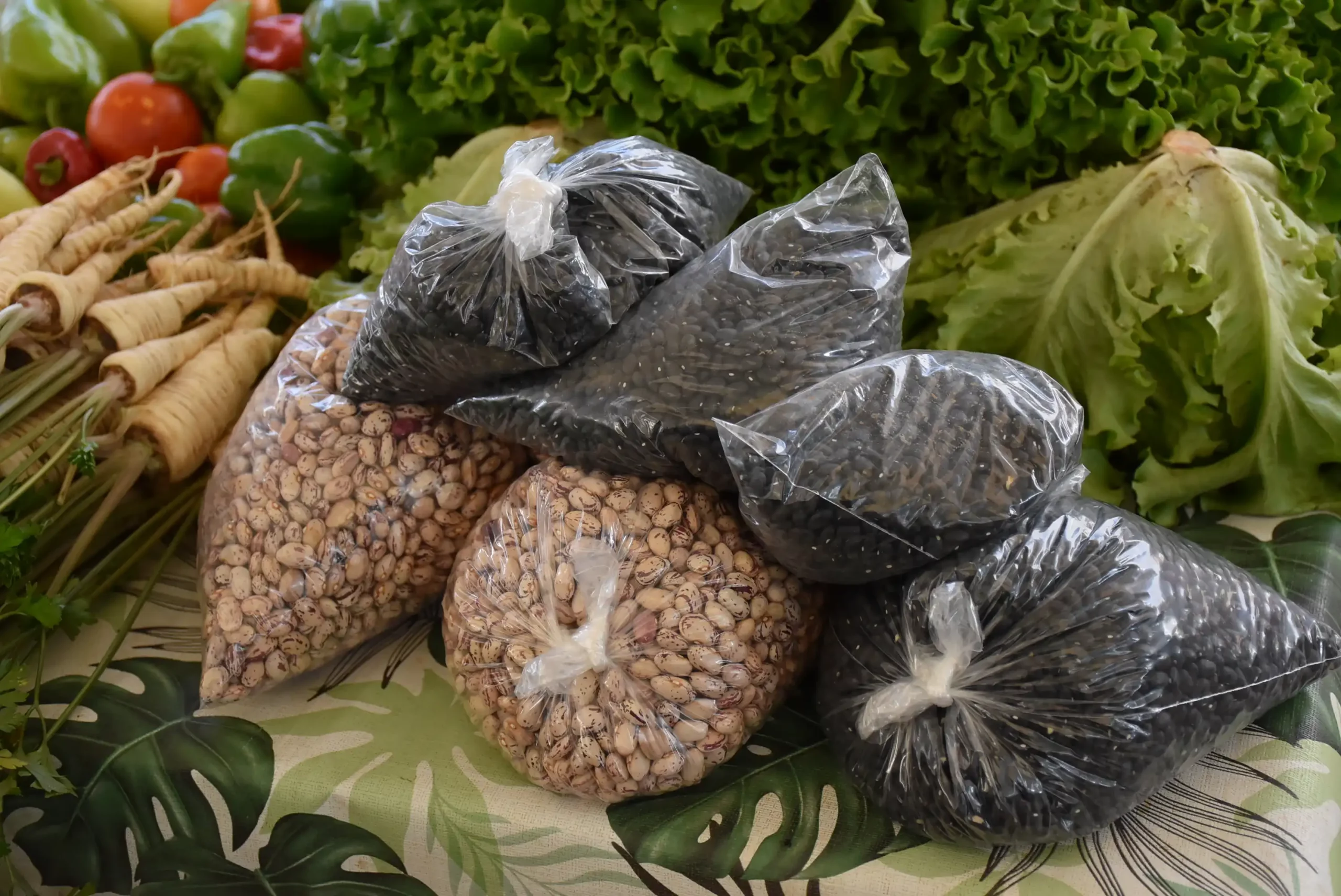 Čakovečka tržnica 20. rujna (39)