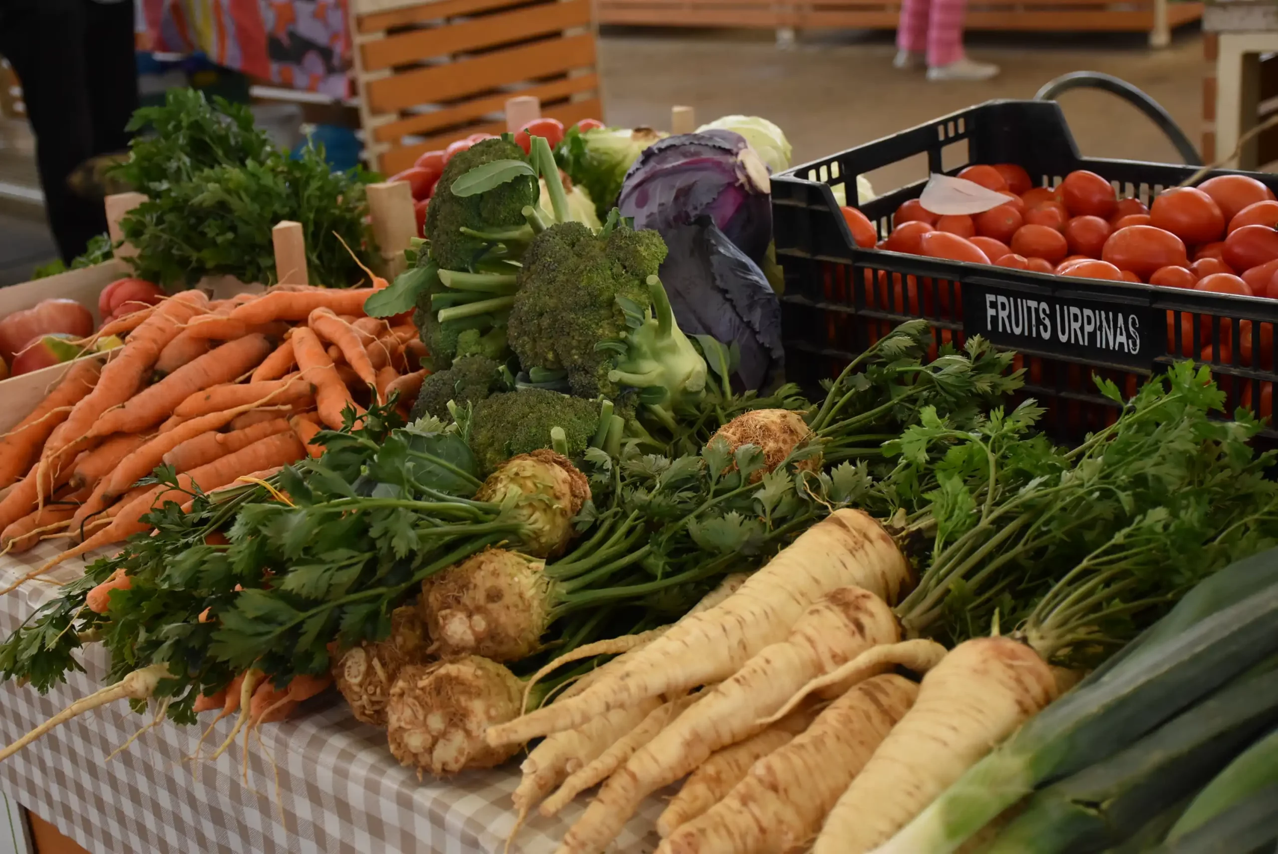 Čakovečka tržnica 20. rujna (40)