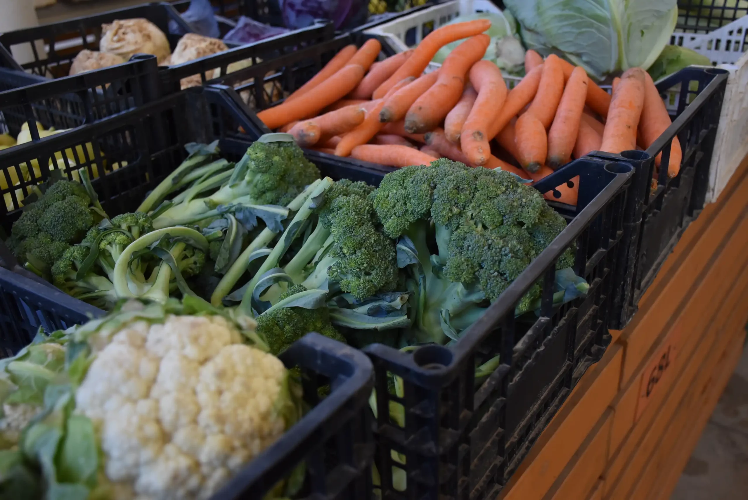 Čakovečka tržnica 20. rujna (45)