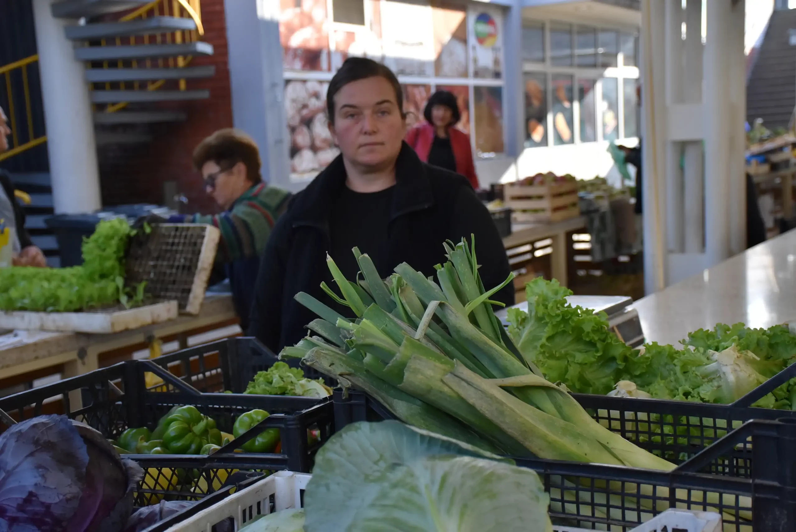 Čakovečka tržnica 20. rujna (46)