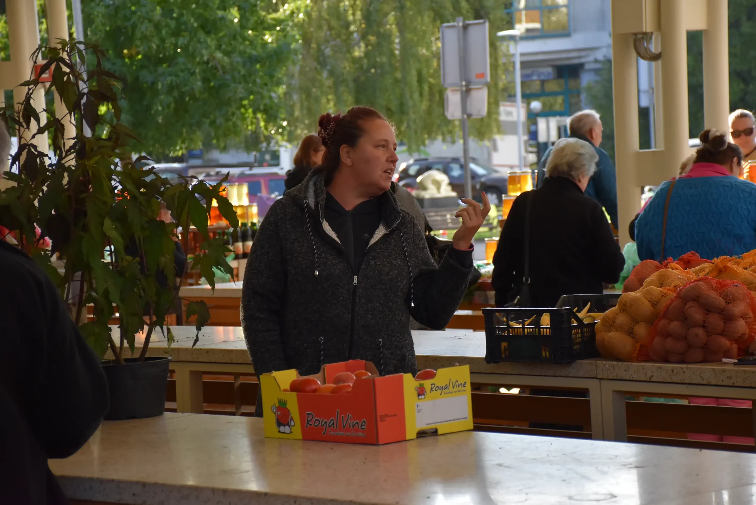 Čakovečka tržnica 20. rujna (47)