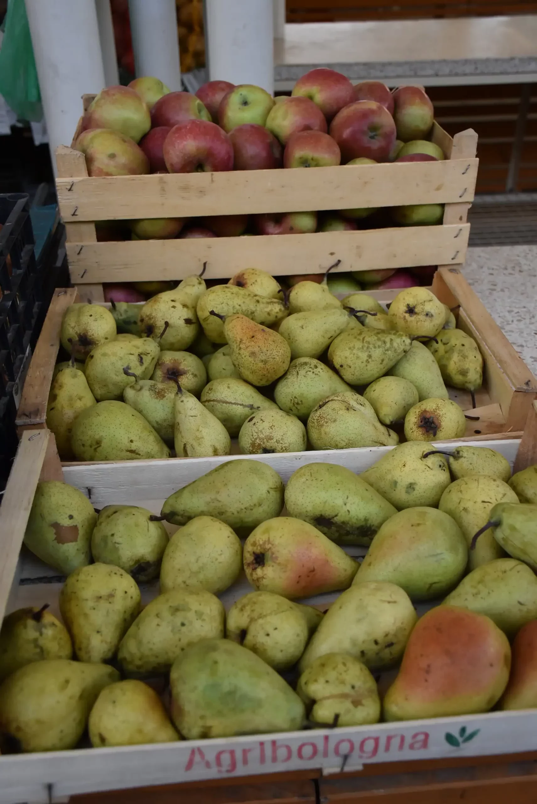 Čakovečka tržnica 20. rujna (58)