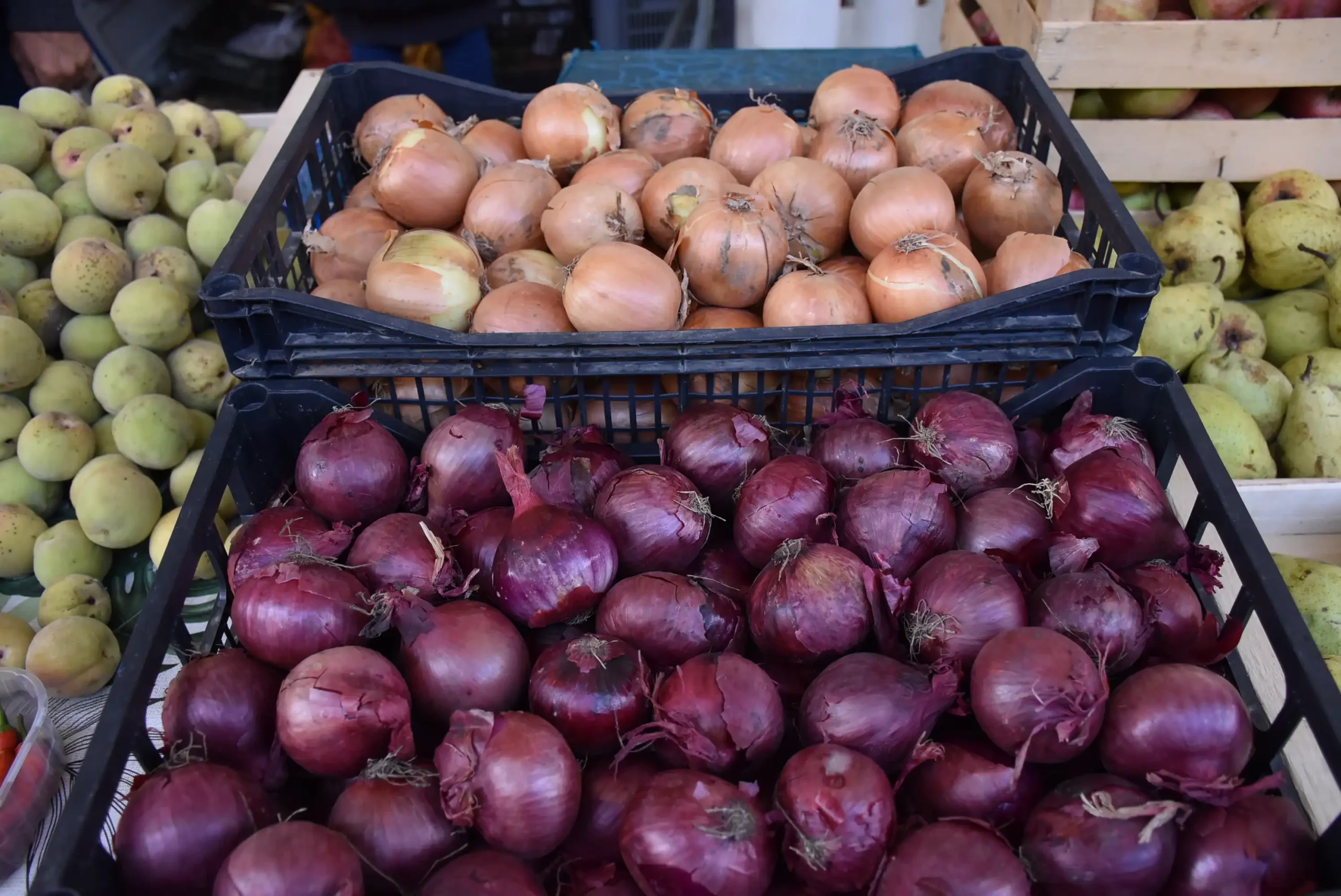 Čakovečka tržnica 20. rujna (59)