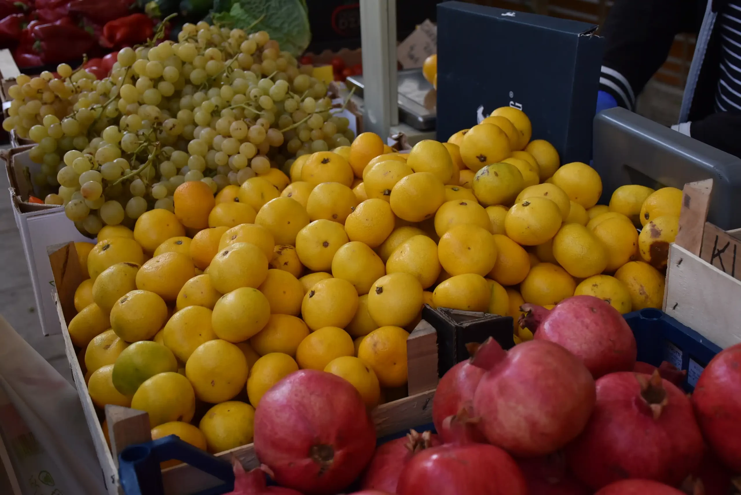 Čakovečka tržnica 20. rujna (66)