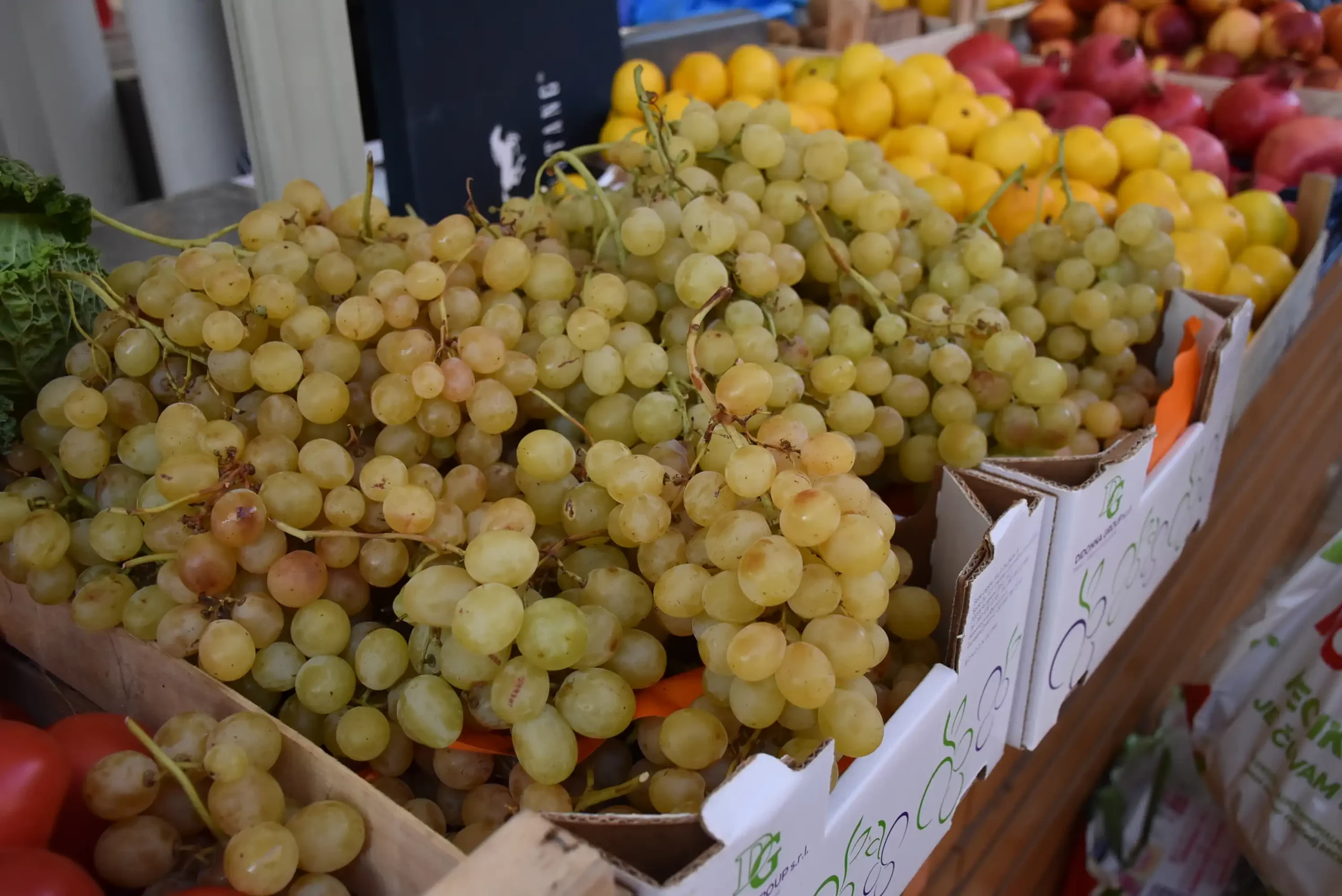 Čakovečka tržnica 20. rujna (67)