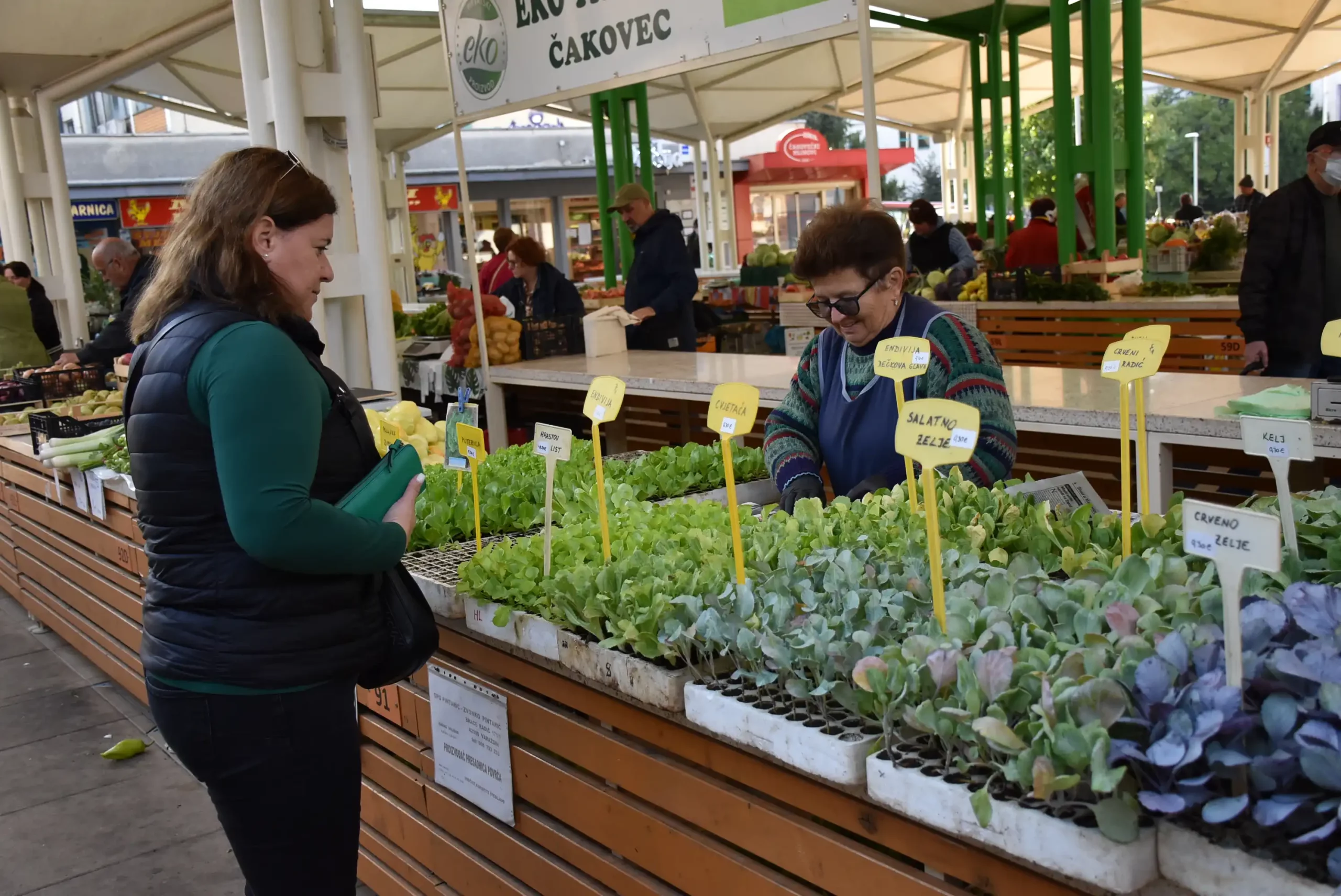 Čakovečka tržnica 20. rujna (69)