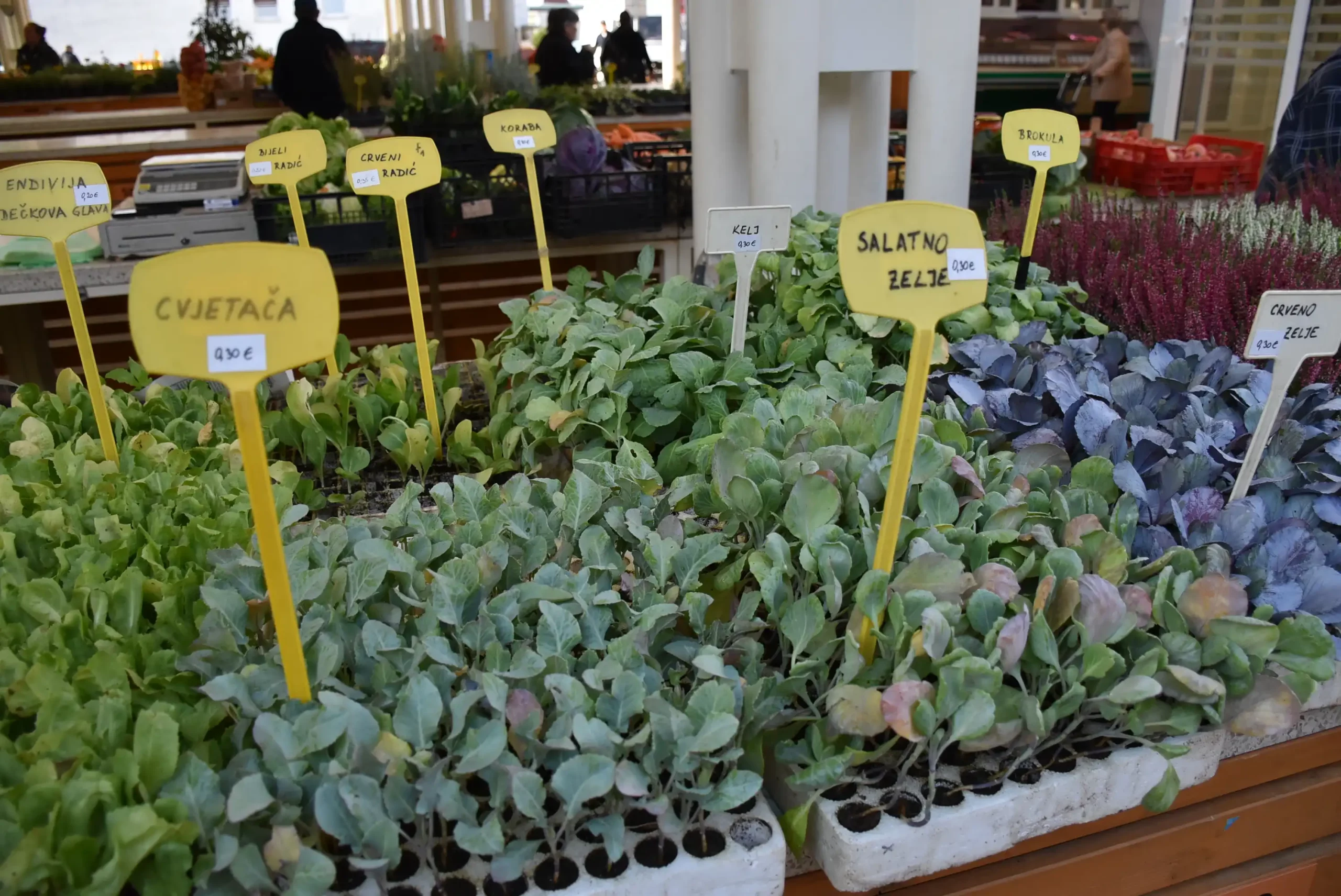 Čakovečka tržnica 20. rujna (70)