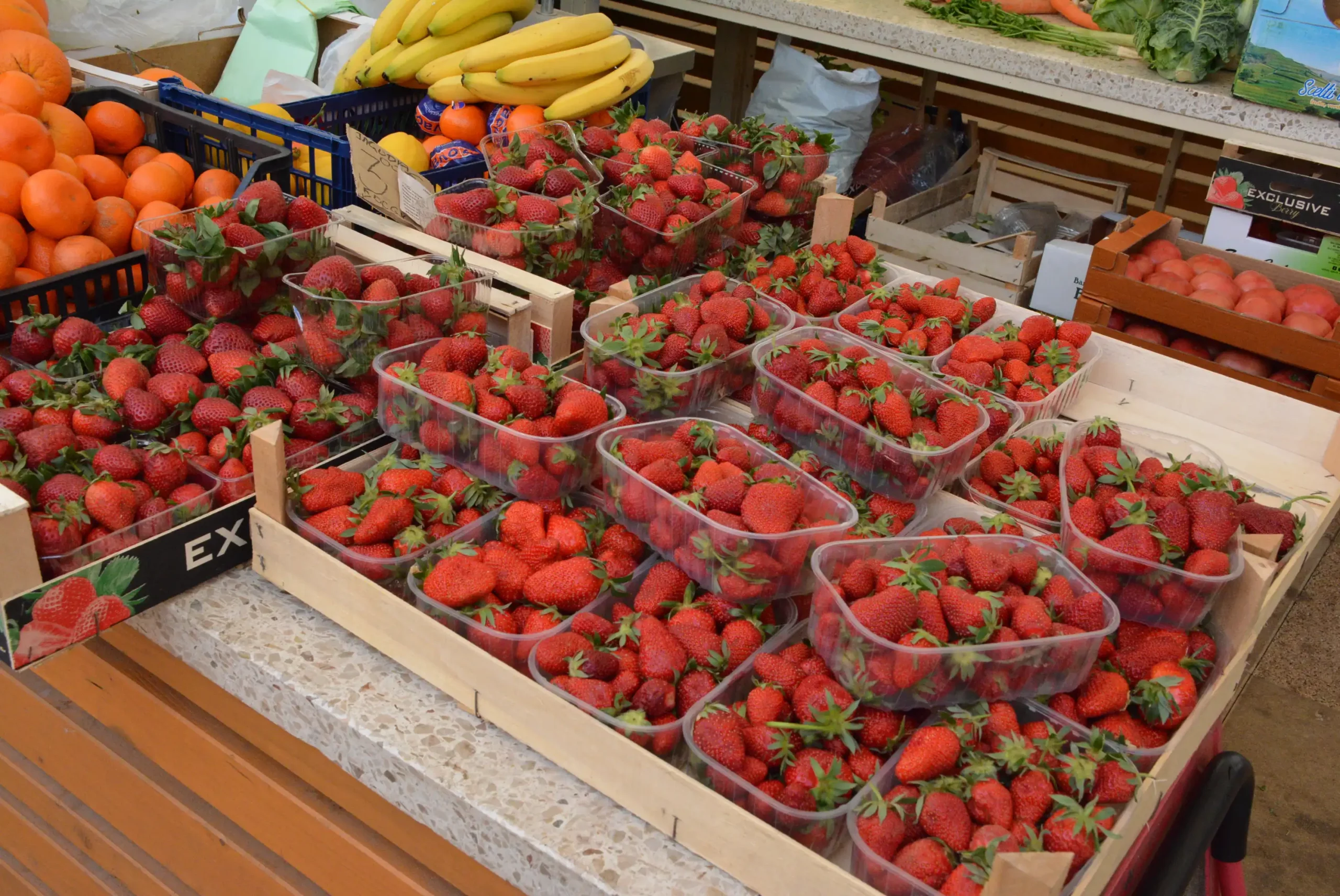 Čakovečka tržnica 26. travnja (10)