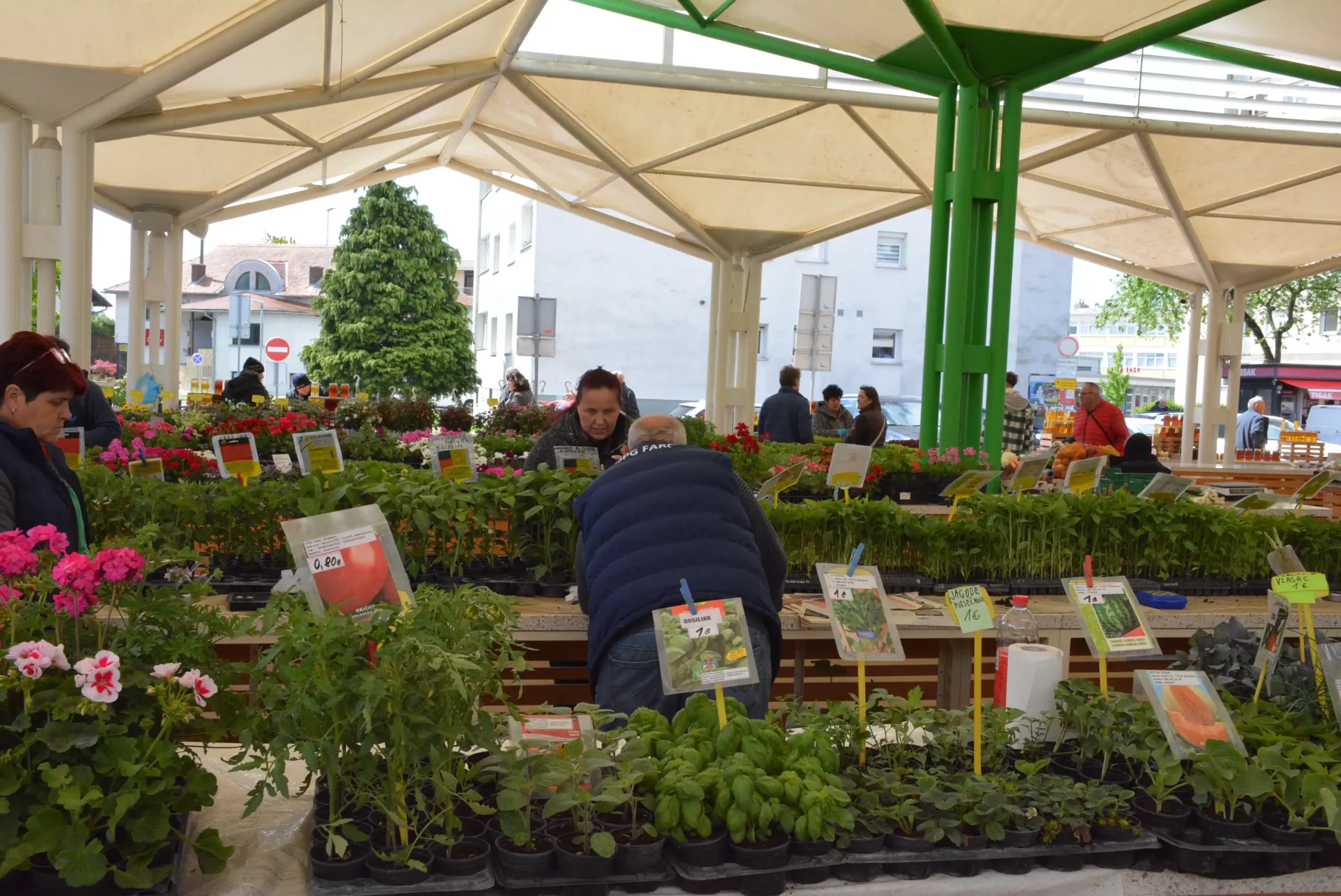 Čakovečka tržnica 26. travnja (14)