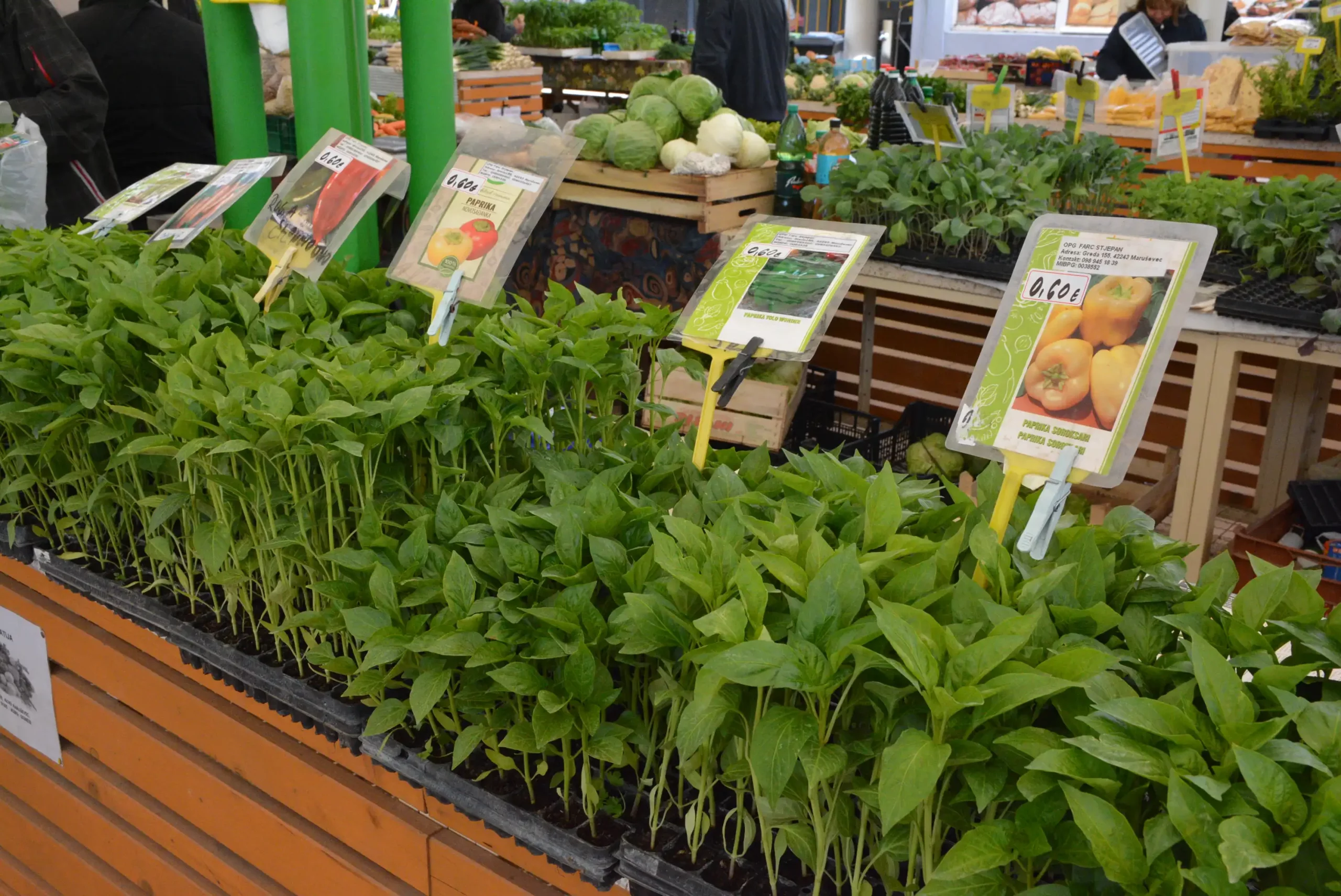 Čakovečka tržnica 26. travnja (21)