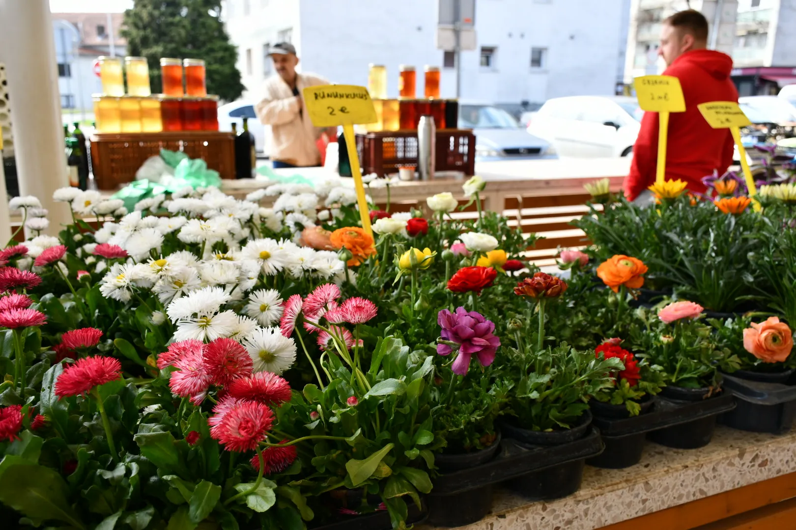 Čakovečka tržnica (6)