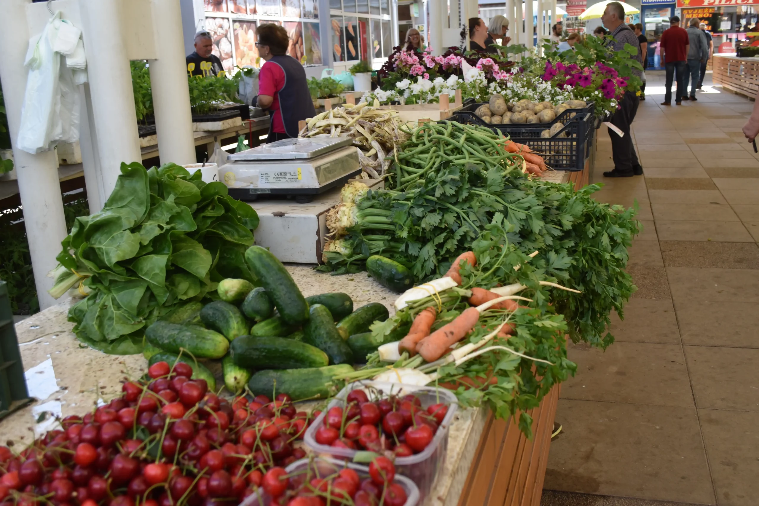 Čakovečka tržnica 7 (17) Čakovečka tržnica 7 (17)