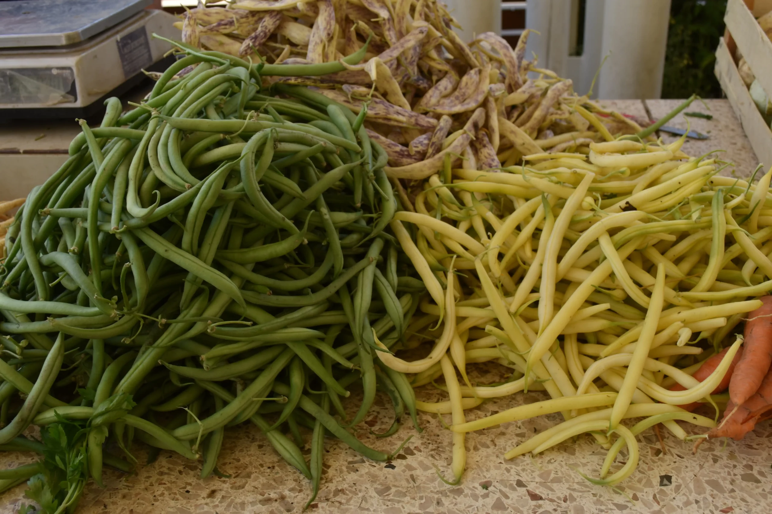 Čakovečka tržnica 7 (19) Čakovečka tržnica 7 (19)