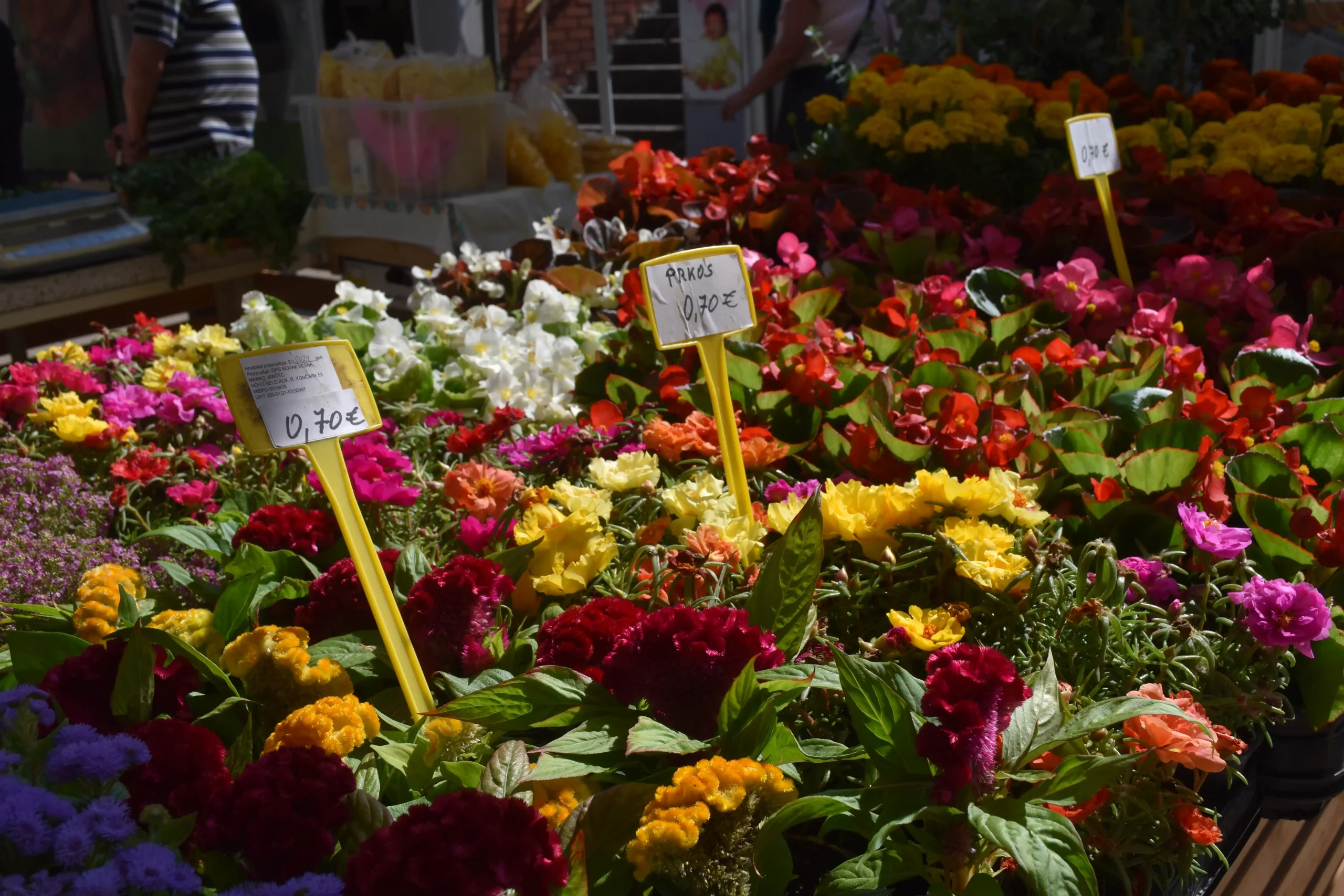 Čakovečka tržnica 7 (20) Čakovečka tržnica 7 (20)