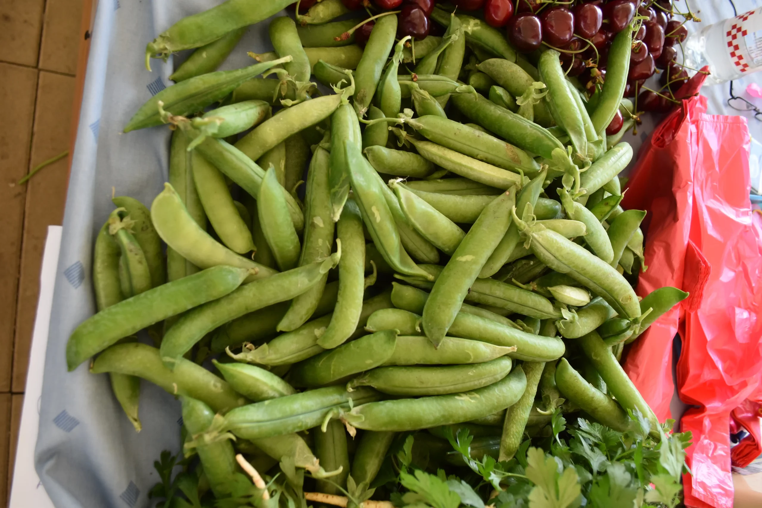 Čakovečka tržnica 7 (28) Čakovečka tržnica 7 (28)