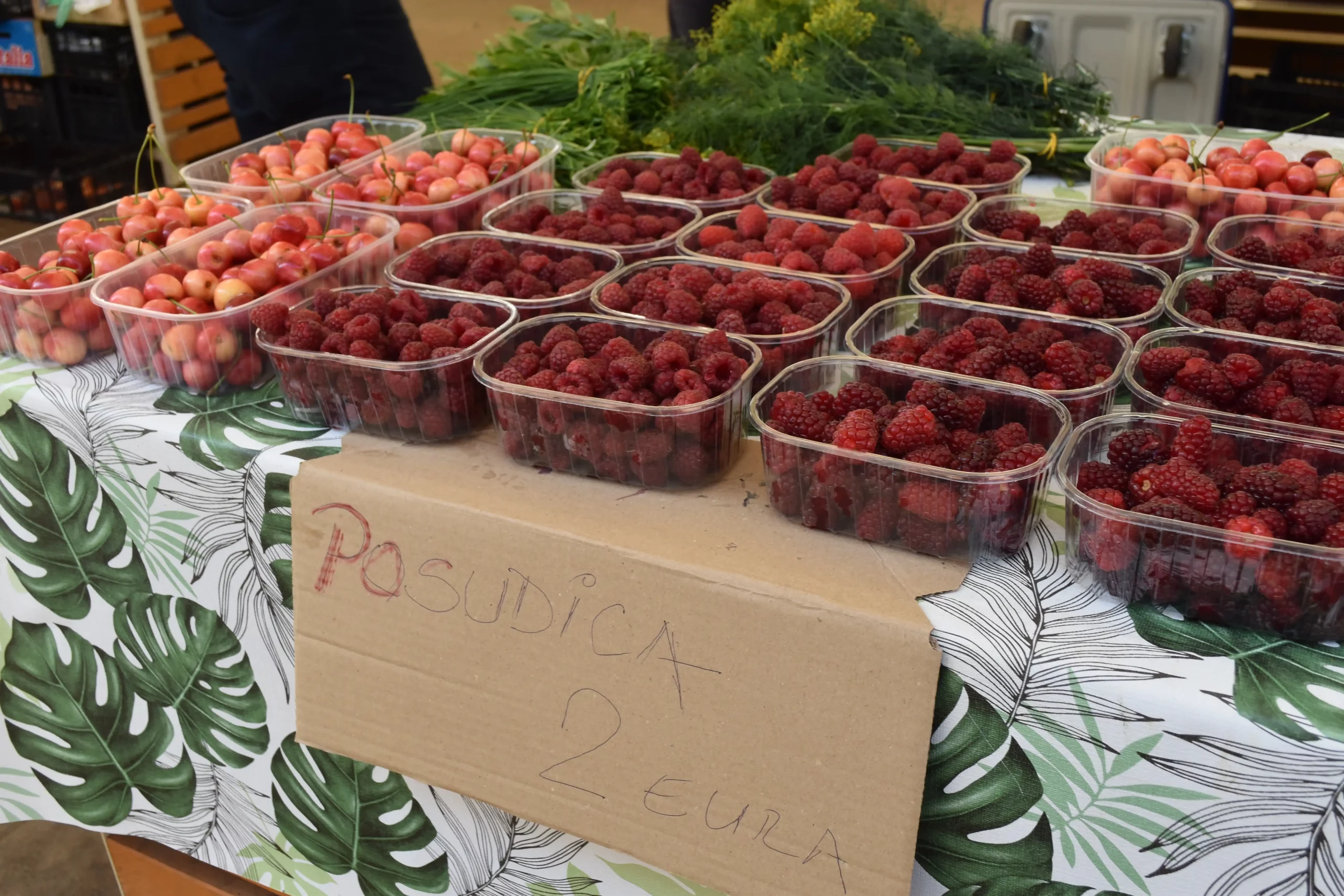 Čakovečka tržnica 7 (3) Čakovečka tržnica 7 (3)