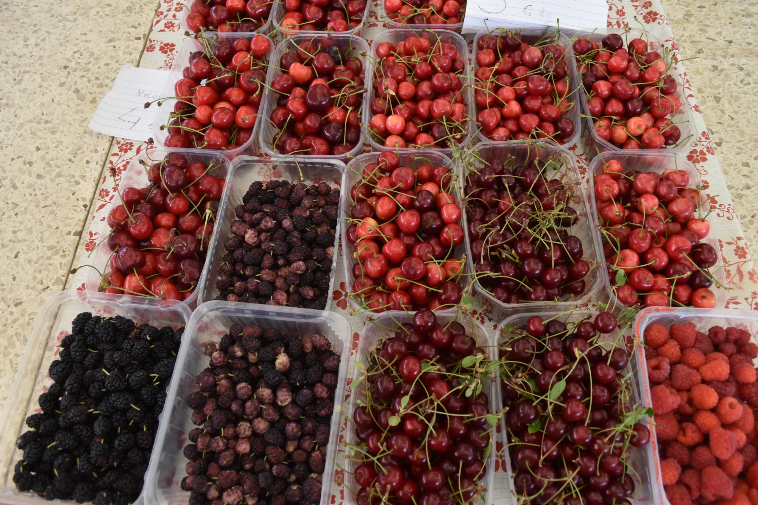 Čakovečka tržnica 7 (32) Čakovečka tržnica 7 (32)