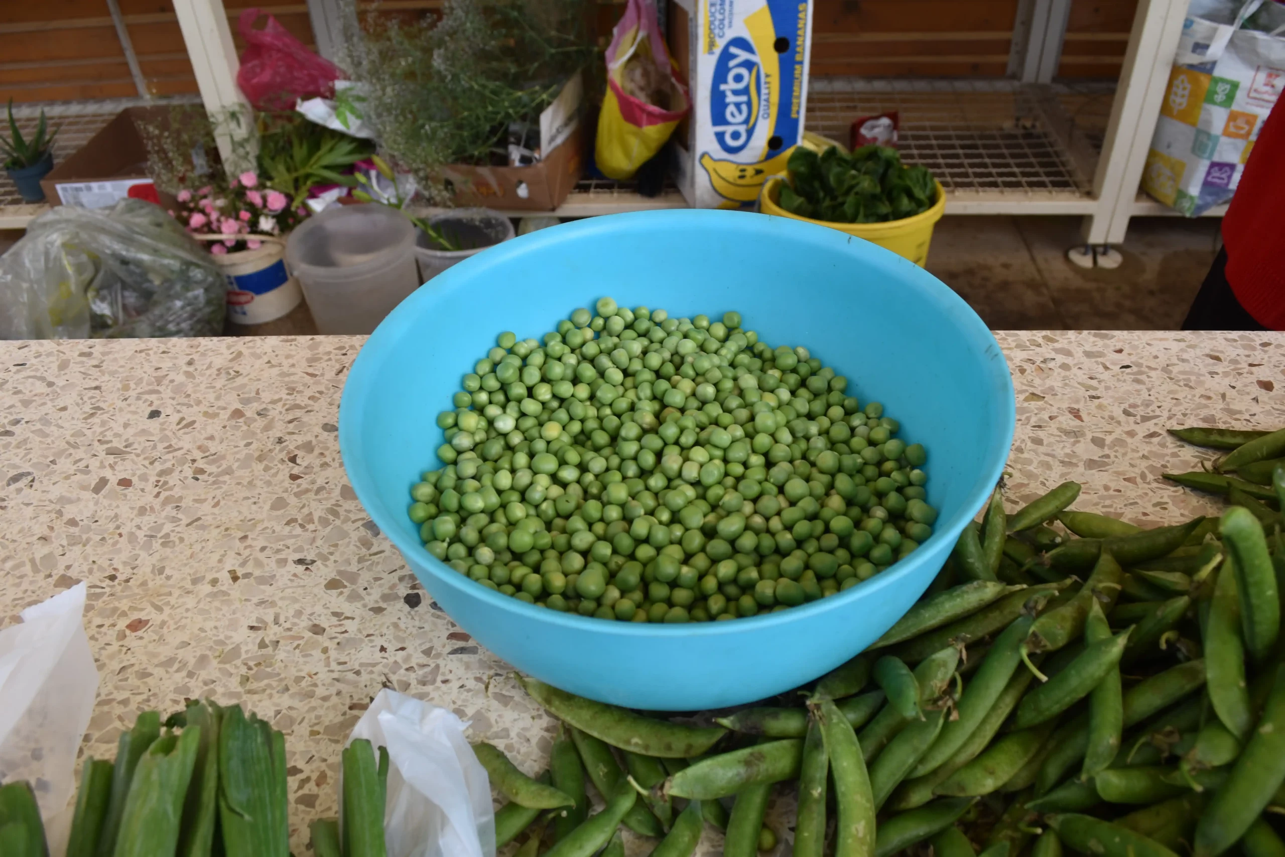 Čakovečka tržnica 7 (39) Čakovečka tržnica 7 (39)